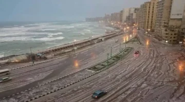 سقوط أمطار غزيرة في الإسكندرية ورفع حالة الطوارئ لمواجهة نوة قاسم 1